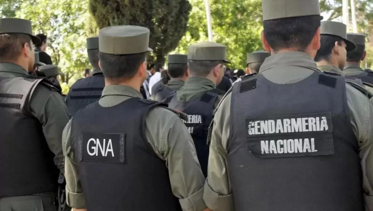 Gendarmería secuestró más de 38.000 paquetes de cigarrillos