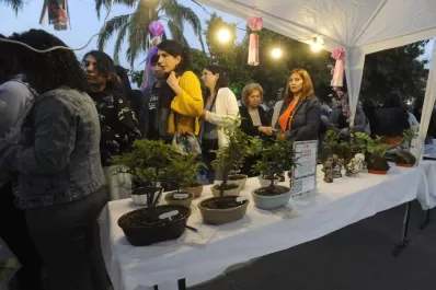 Verde que te quiero verde: ¿cuáles son las plantas ideales para tu oficina?