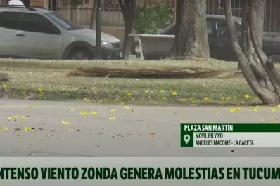 El viento Zonda provocó fuertes ráfagas en toda la provincia: ¿Qué dice el pronóstico?