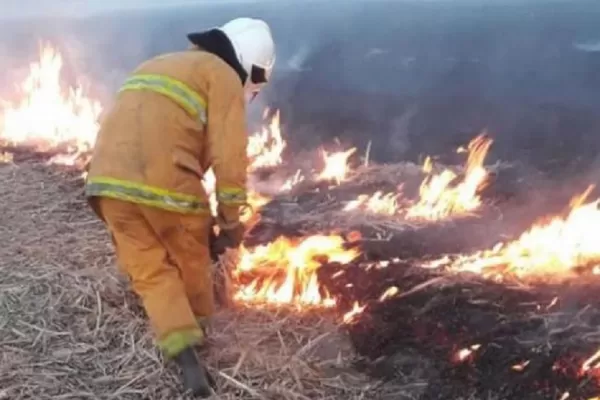 El viento zonda avivó focos de incendios en cañaverales de Tucumán