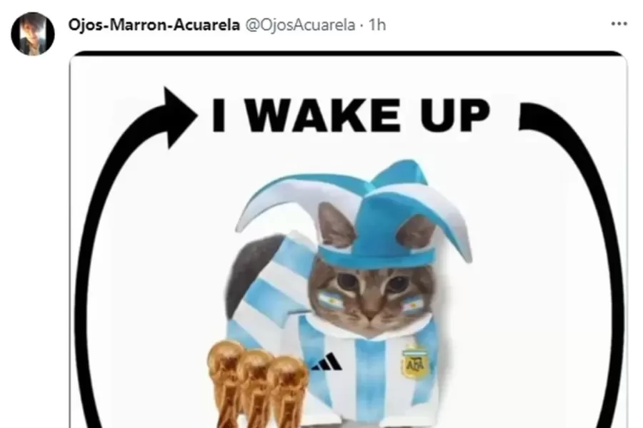 El Himno Argentino fue halagado como el mejor del mundo y generó muchos memes.