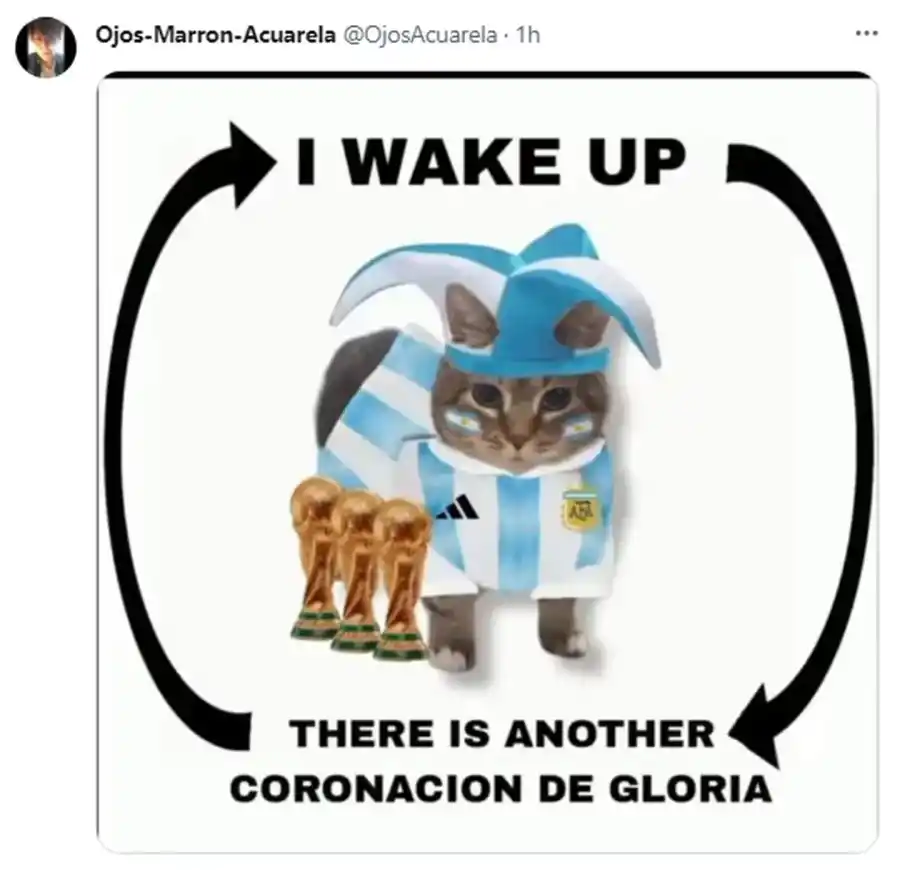 El Himno Argentino fue halagado como el mejor del mundo y generó muchos memes.