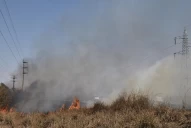 Quema de caña: Cuando el fuego llega a los cañaverales no se para más, advierten