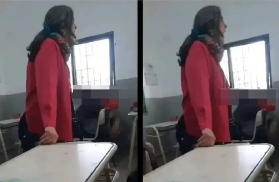 Córdoba: fue apartada de su cargo la docente que insultó en clase a quienes votaron a Milei