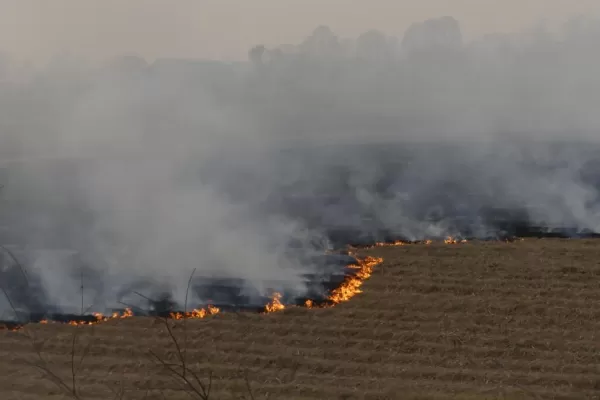 Cañeros se desligan de los incendios en sus campos