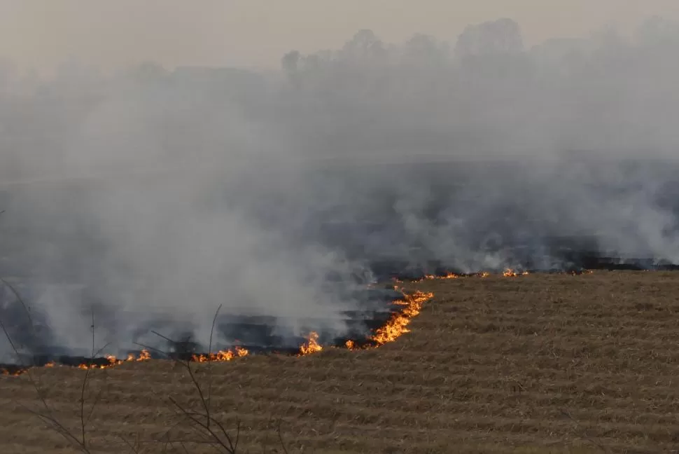 HUMAREDA. Las llamas arrasan con un campo en el sur de la provincia.   