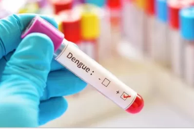 Dengue: cuándo llegará la vacuna del laboratorio Takeda y cuál es la situación en el país