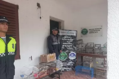 Rescatan aves autóctonas que se comercializaban en las redes sociales