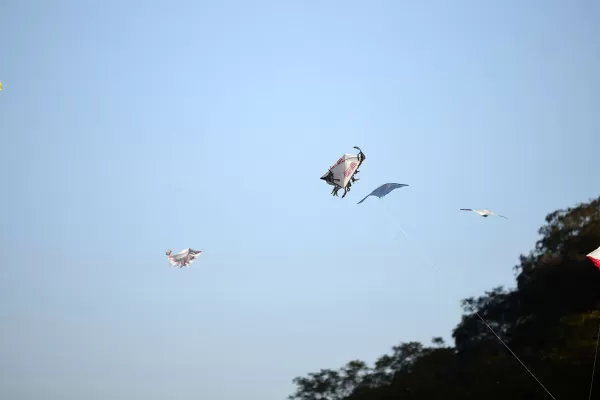 El domingo estará soleado y desde mañana subiría la temperatura en Tucumán