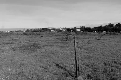 Una enorme reserva forestal tendrá Concepción, cerca de la plaza principal