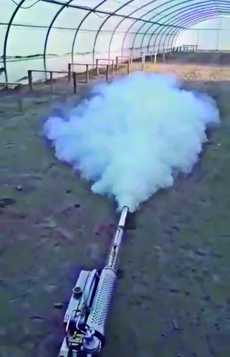 Medici y Cía: más de 50 años de experiencia