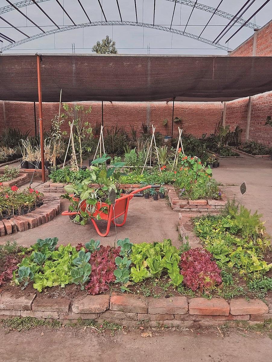 El mercado de plantas: jardines sustentables, adaptados al clima tucumano