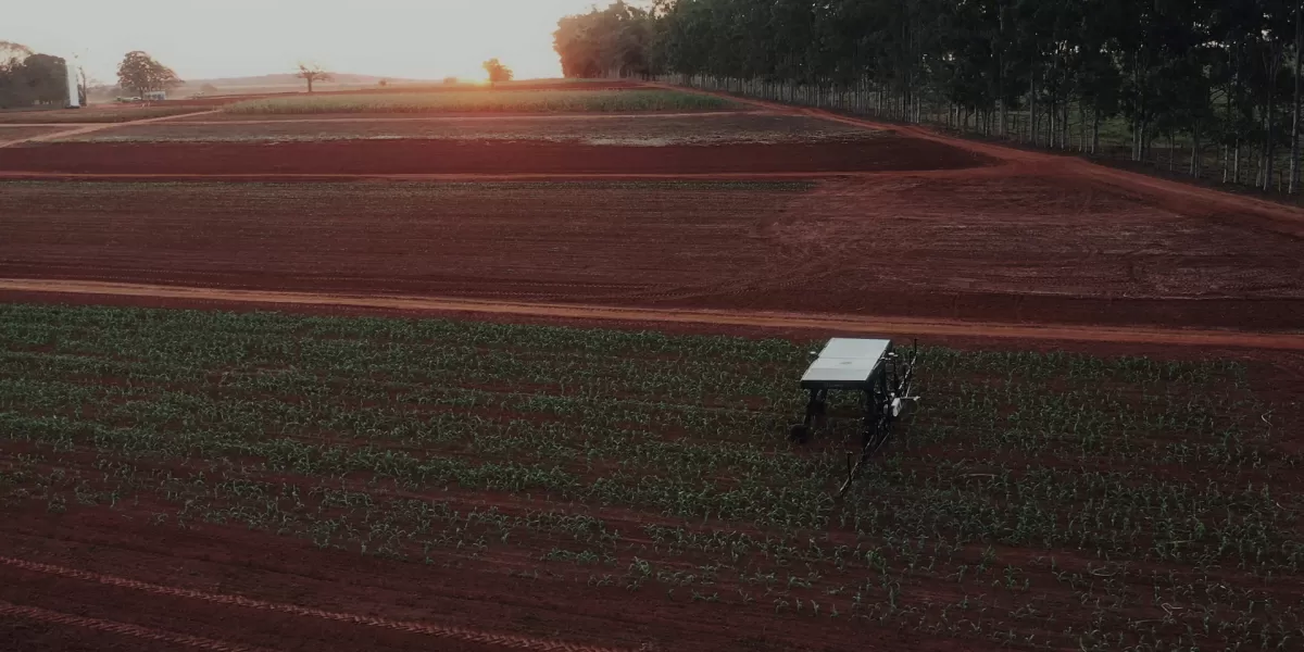 Un robot brasileño ayuda a los agricultores: explora, fumiga y protege los cultivos