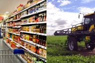 Medidas económicas de Sergio Massa: en qué consiste el acuerdo de precios y los beneficios para el agro