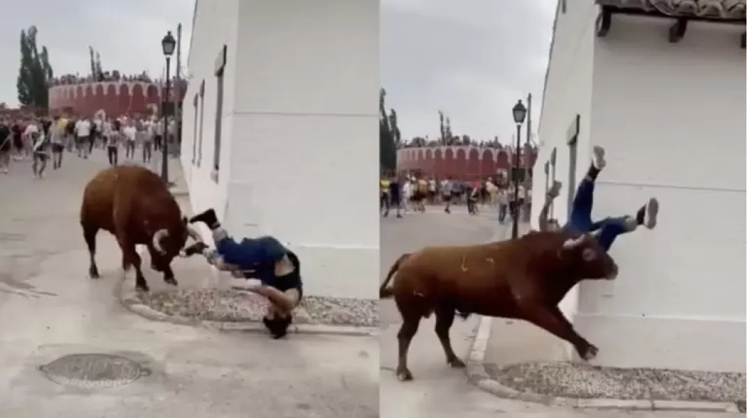 Una joven fue embestida por un toro por mirar a su celular durante una corrida