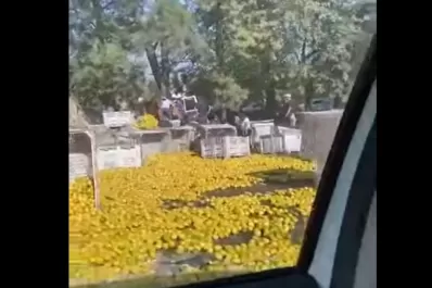 Se accidentó un camión con limones en la autopista Tucumán-Famaillá y la gente lo saqueó