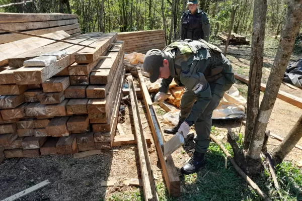 Encontraron más de dos toneladas de marihuana en el interior de vigas de madera