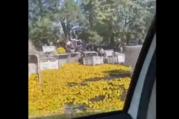 Se accidentó un camión con limones en la autopista Tucumán-Famaillá y la gente lo saqueó