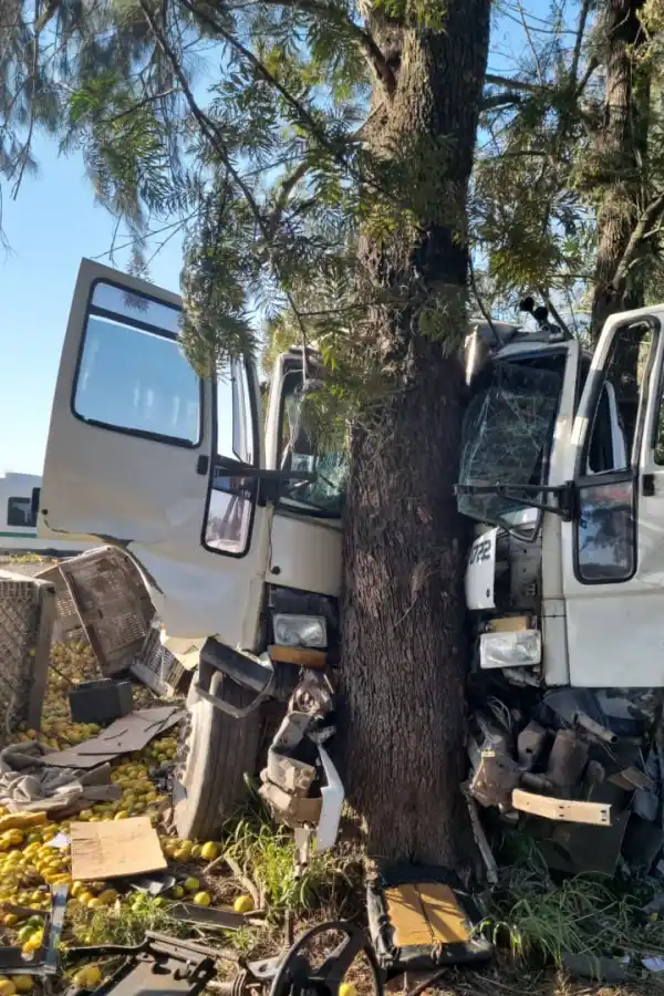 SE ESTRELLÓ CONTRA UN ÁRBOL. El chofer del camión fue hospitalizado.