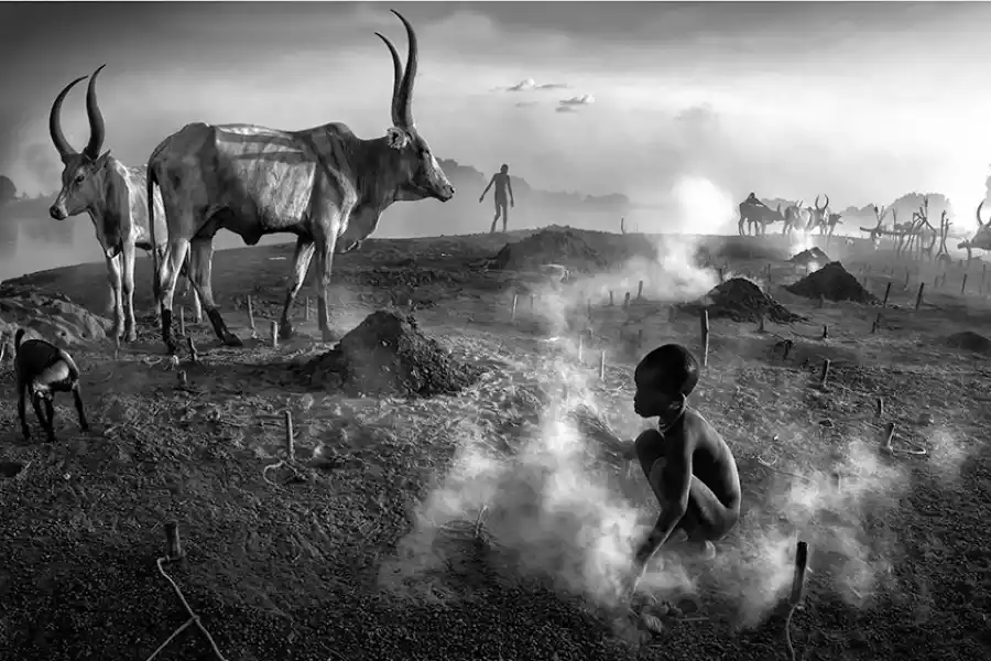 ANA MARÍA ROBLES. En un territorio hostil para la vida.