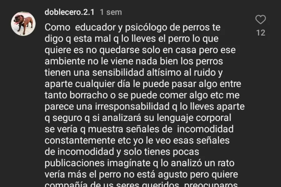 Las quejas de un “mascotero” tras la reaparición de “Porquería”, el perro “hincha” de Atlético Tucumán