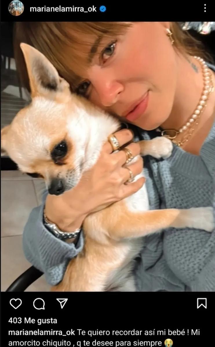 Marianela Mirra le dedicó un tierno mensaje a su perro Milo