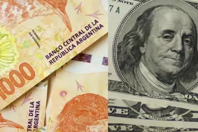 La insólita teoría de un joven sobre dolarización: “Si gana Milei, voy a cobrar U$S100.000”