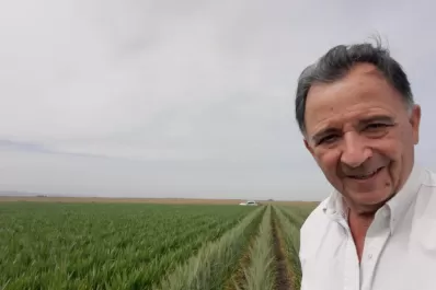 El comportamiento del clima resultará clave para la etapa final de los cultivos de invierno