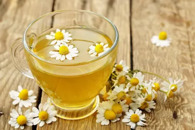 Té de manzanilla: qué beneficios tiene y cómo tomarlo para dormir mejor