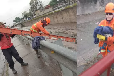 Video: así fue el rescate de un caniche en el canal del Camino del Perú