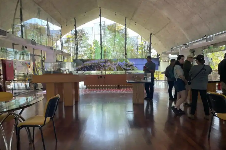 DISEÑO EFICIENTE. Las instalaciones permiten aprovechar la luz sin calcinarse en esta región de altas temperaturas. 