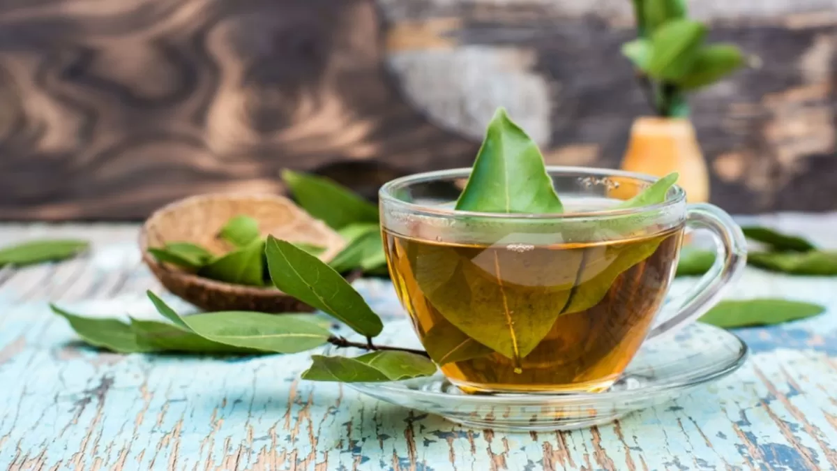 Los cinco beneficios de tomar té de laurel en ayunas