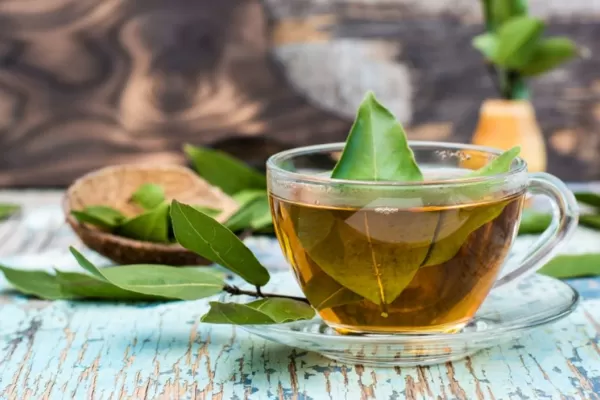 Cuáles son los cinco beneficios de tomar té de laurel en ayunas