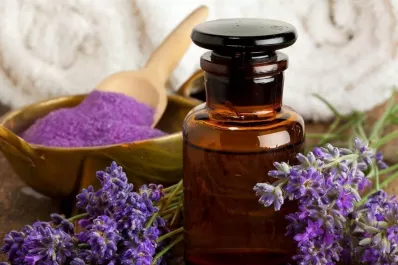 Conocé cuáles son los cuatro usos mágicos de la lavanda