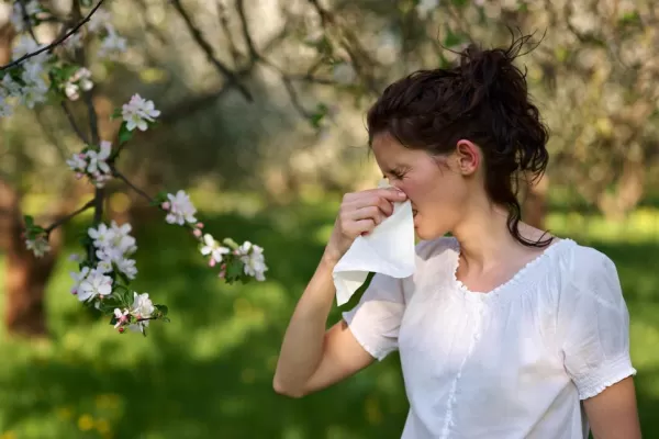 Cómo afrontar la primavera cuando se tienen alergias