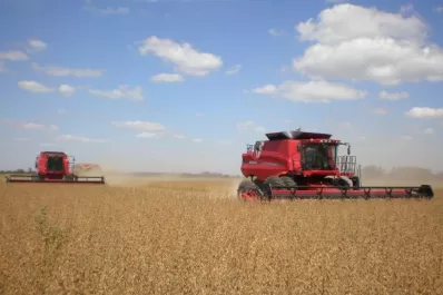 Maíz, Soja y trigo: la producción de granos crecería el 70% interanual, debido a “El Niño”