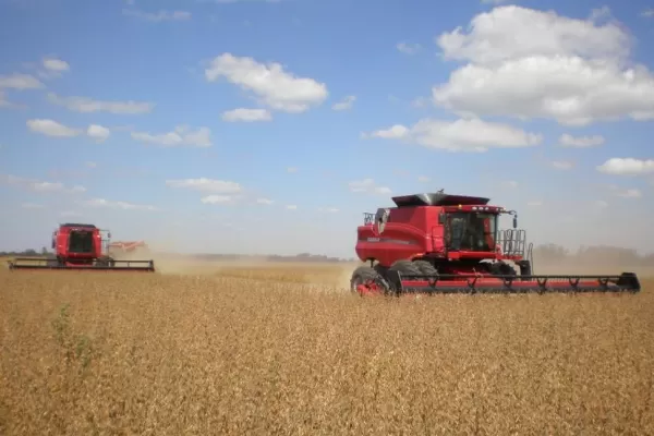 Maíz, Soja y trigo: la producción de granos crecería el 70% interanual, debido a “El Niño”