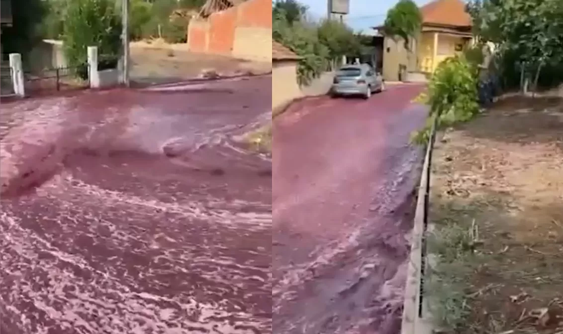 Las calles de Levira se vieron inundadas por miles de litros de vino