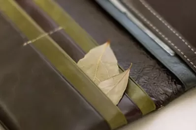 Rituales: para qué sirve guardar una hoja de laurel en la billetera