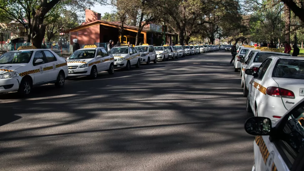 Los taxistas esperan en el parque 9 de Julio.