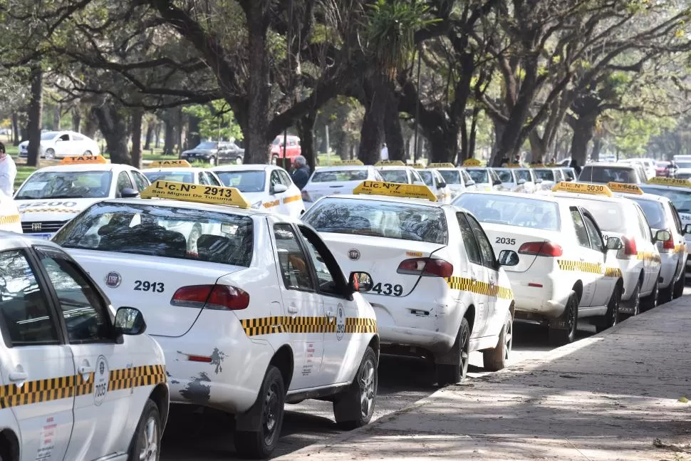 SE CONCENTRARON. Los taxistas se reunieron en el parque a la espera de las novedades con el Gobierno.  