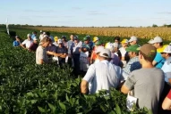 Hasta U$S25.000 de premio en un concurso de ideas