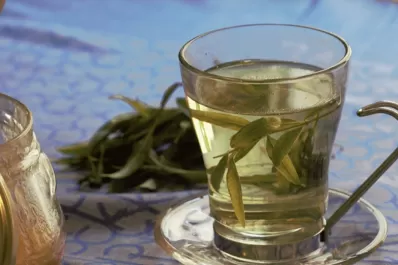 Té de cedrón: cuáles son sus cuatro beneficios y cómo tomarlo