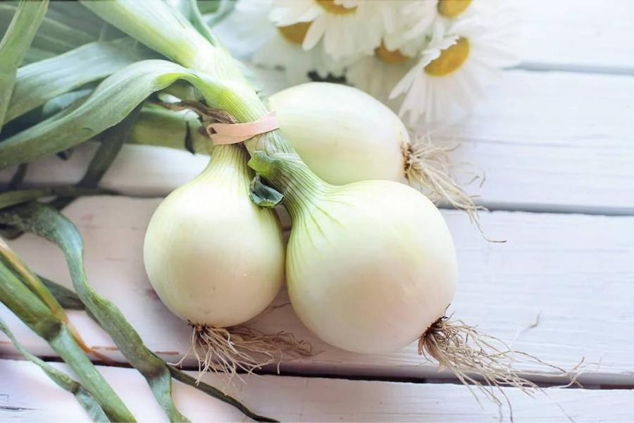 La cebolla es rica en diversos nutrientes como Potasio y Vitamina C.