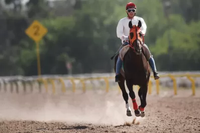 Turf: El Gran Cabrón busca ganar protagonismo