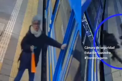 Desesperante: sus hijos subieron al tren, ella quedó trabada en los molinetes y los perdió