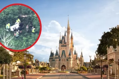 Cerraron un parque de Disney por una osa suelta