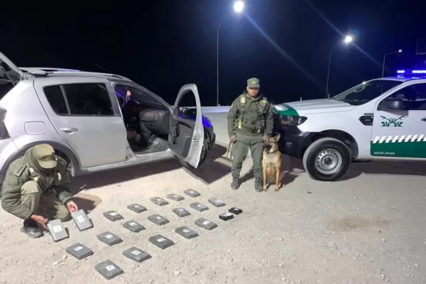 Surgieron más detalles del polémico caso de la “mula”