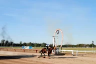 Turf: sobran candidatos y también la confianza