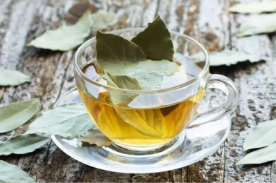 Qué beneficios tiene tomar té de laurel por la noche antes de dormir